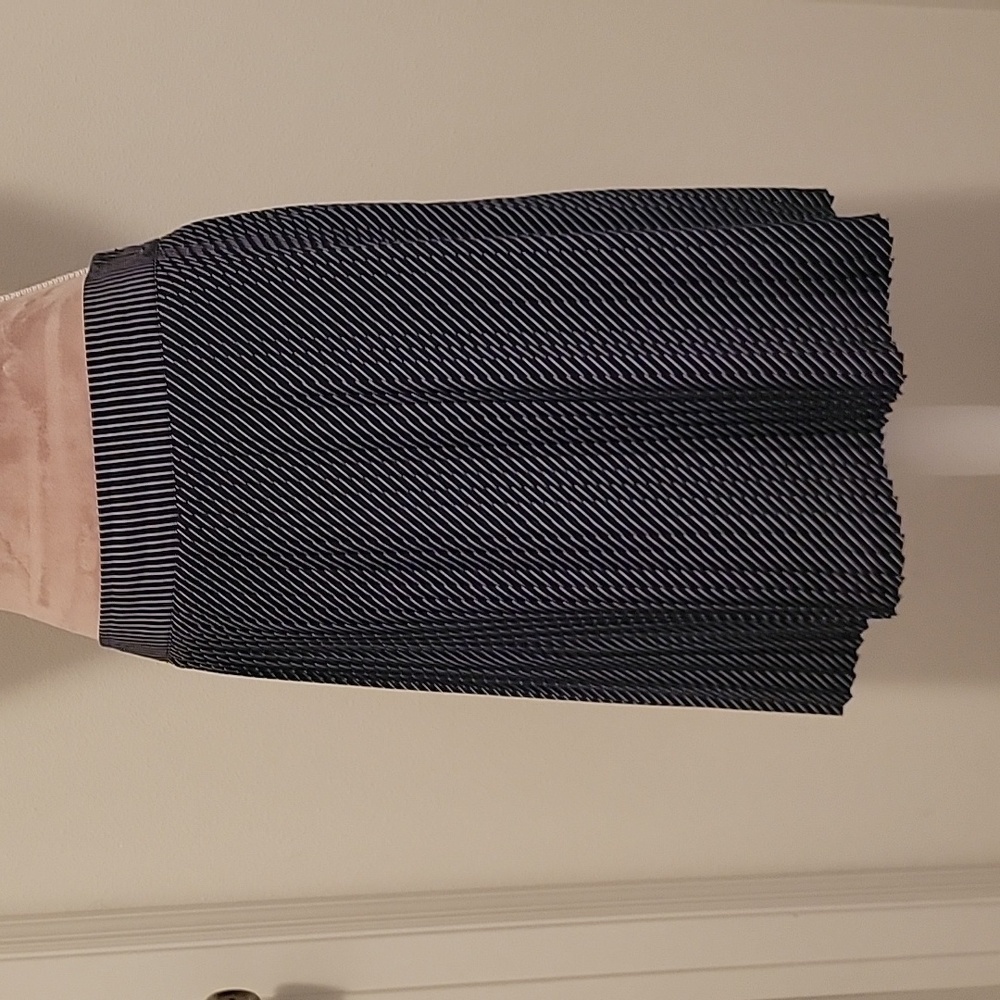 The Limited Navy Blue White Stripe Accordian Pleat Skirt, Size M
